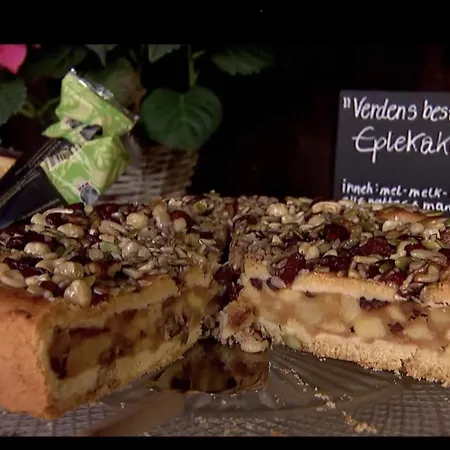 Froyas Hus Guest house Roros