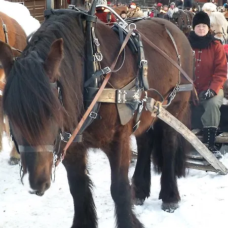 Froyas Hus Guest house Roros