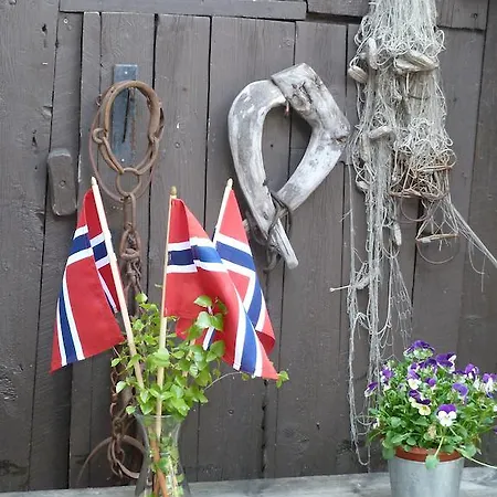 Guest house Froyas Hus Roros