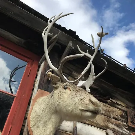 Froyas Hus Vendégház Røros
