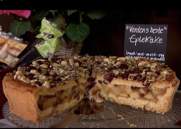 Froyas Hus Pensionat Røros