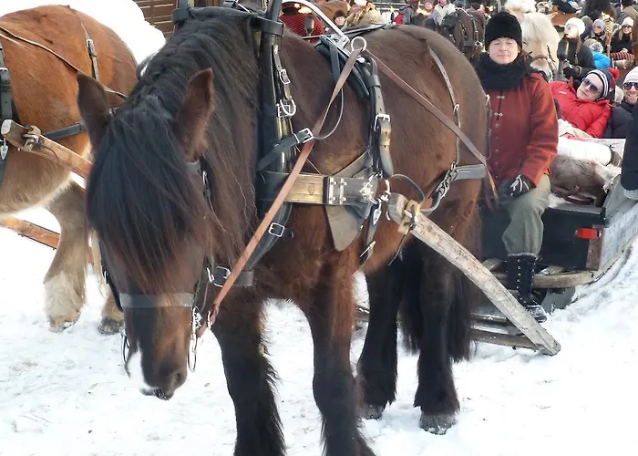 Froyas Hus Pensionat Røros