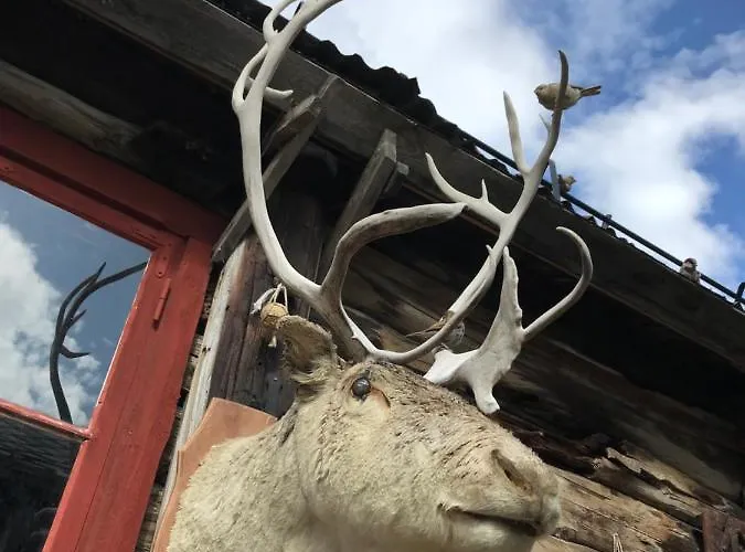 Froyas Hus Pensionat Røros