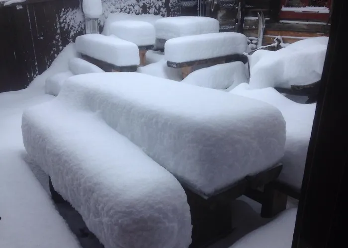 Pensionat Froyas Hus Røros
